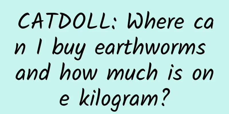 CATDOLL: Where can I buy earthworms and how much is one kilogram?