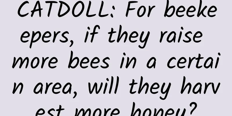 CATDOLL: For beekeepers, if they raise more bees in a certain area, will they harvest more honey?