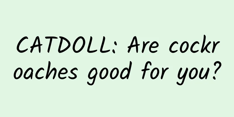 CATDOLL: Are cockroaches good for you?
