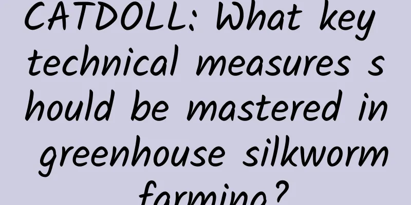 CATDOLL: What key technical measures should be mastered in greenhouse silkworm farming?