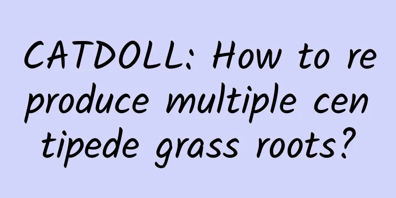 CATDOLL: How to reproduce multiple centipede grass roots?