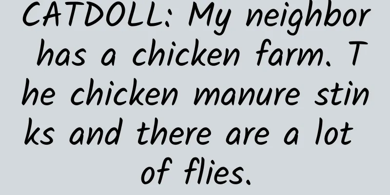 CATDOLL: My neighbor has a chicken farm. The chicken manure stinks and there are a lot of flies.