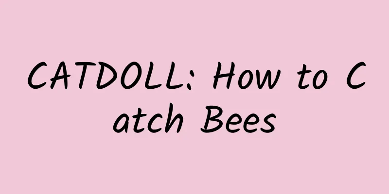 CATDOLL: How to Catch Bees