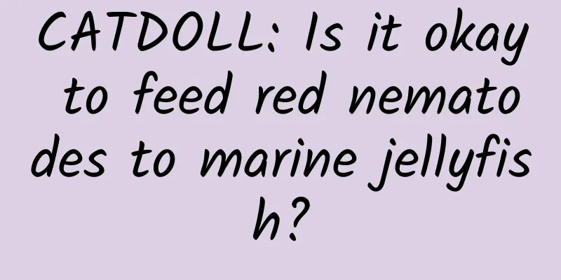 CATDOLL: Is it okay to feed red nematodes to marine jellyfish?
