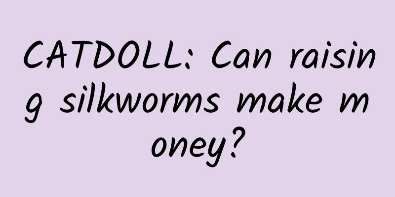 CATDOLL: Can raising silkworms make money?