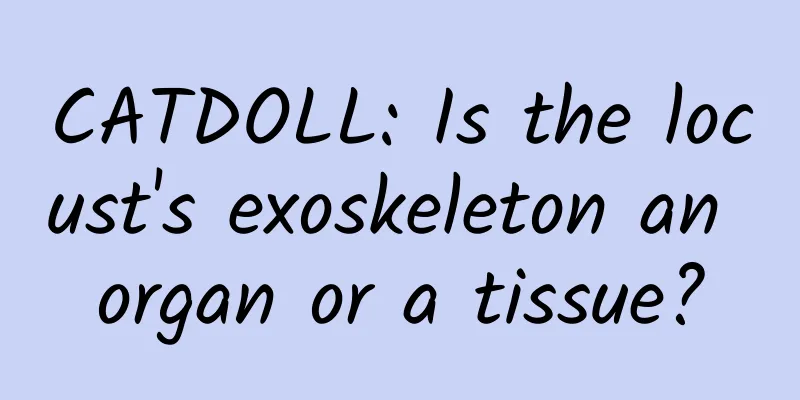 CATDOLL: Is the locust's exoskeleton an organ or a tissue?