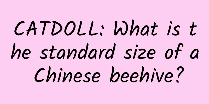 CATDOLL: What is the standard size of a Chinese beehive?