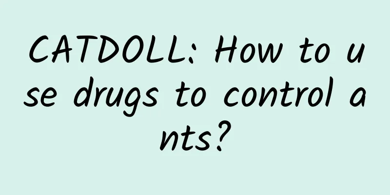CATDOLL: How to use drugs to control ants?