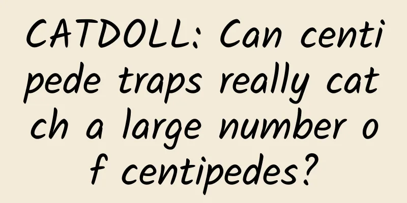 CATDOLL: Can centipede traps really catch a large number of centipedes?