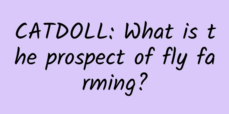 CATDOLL: What is the prospect of fly farming?