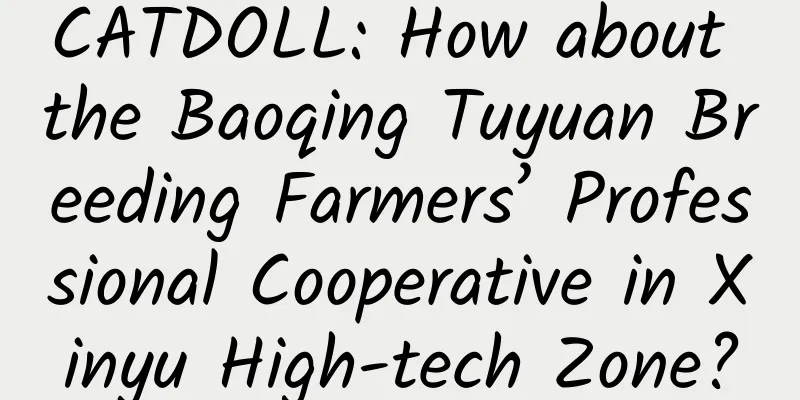 CATDOLL: How about the Baoqing Tuyuan Breeding Farmers’ Professional Cooperative in Xinyu High-tech Zone?