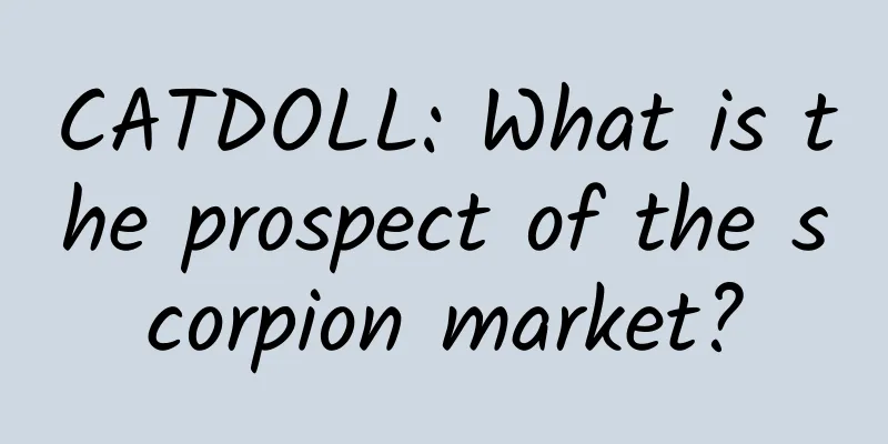 CATDOLL: What is the prospect of the scorpion market?