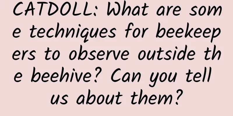 CATDOLL: What are some techniques for beekeepers to observe outside the beehive? Can you tell us about them?