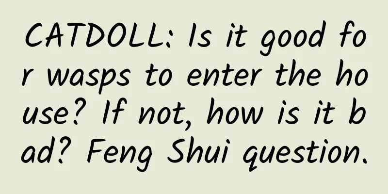 CATDOLL: Is it good for wasps to enter the house? If not, how is it bad? Feng Shui question.