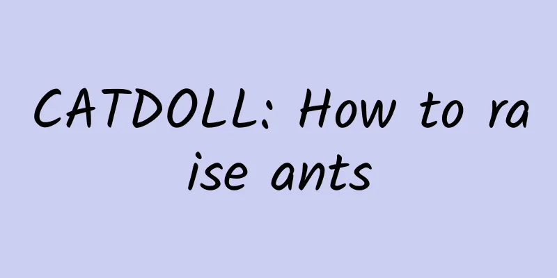 CATDOLL: How to raise ants