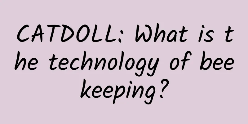 CATDOLL: What is the technology of beekeeping?
