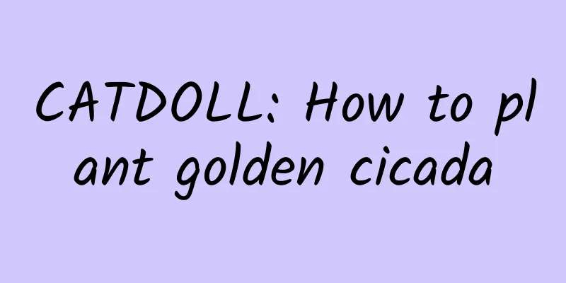 CATDOLL: How to plant golden cicada