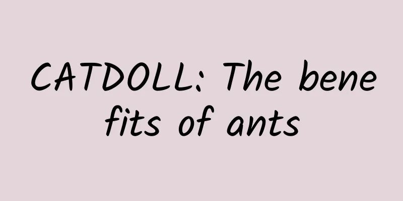 CATDOLL: The benefits of ants