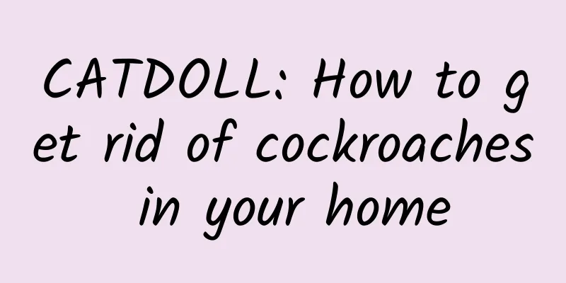 CATDOLL: How to get rid of cockroaches in your home