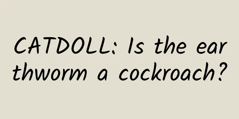 CATDOLL: Is the earthworm a cockroach?