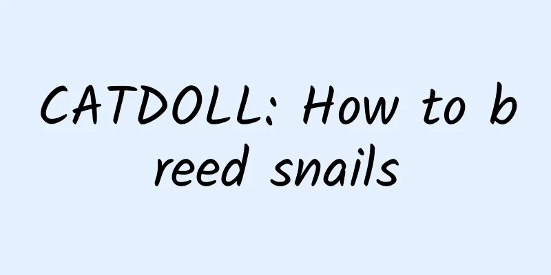 CATDOLL: How to breed snails