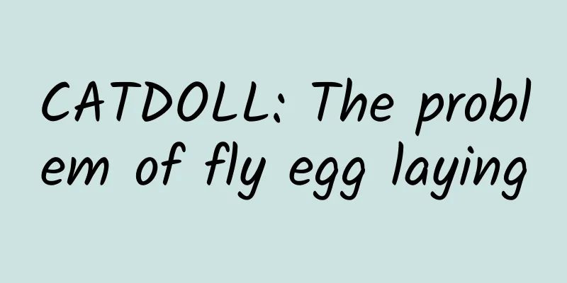 CATDOLL: The problem of fly egg laying