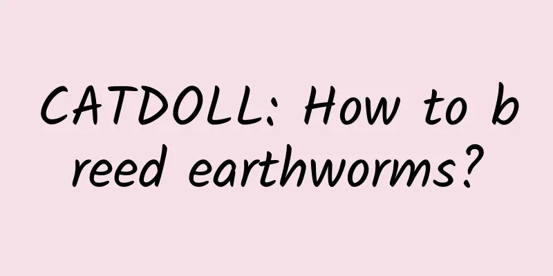 CATDOLL: How to breed earthworms?