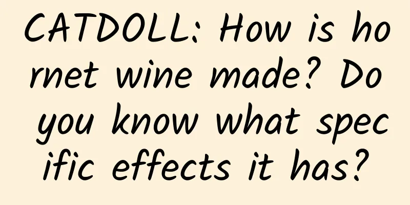 CATDOLL: How is hornet wine made? Do you know what specific effects it has?