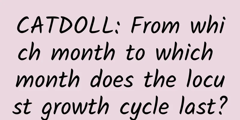 CATDOLL: From which month to which month does the locust growth cycle last?