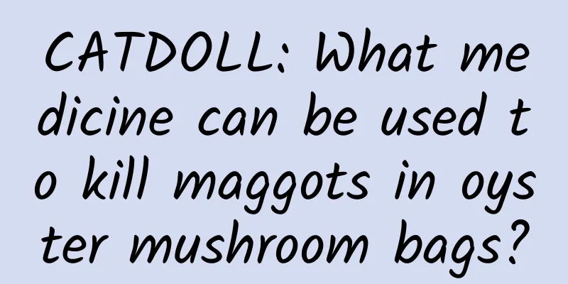 CATDOLL: What medicine can be used to kill maggots in oyster mushroom bags?