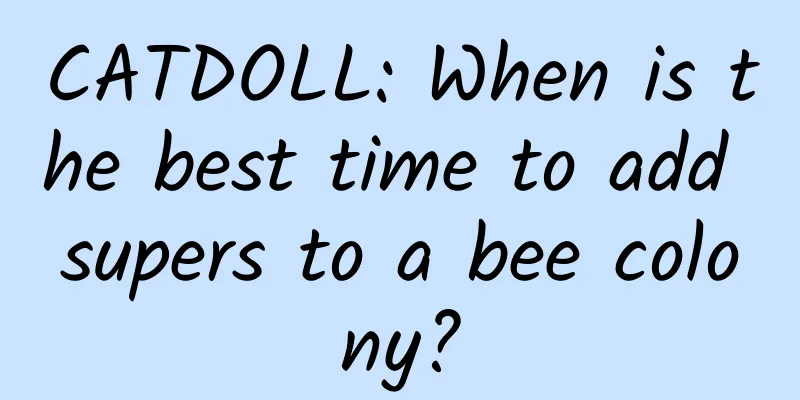 CATDOLL: When is the best time to add supers to a bee colony?