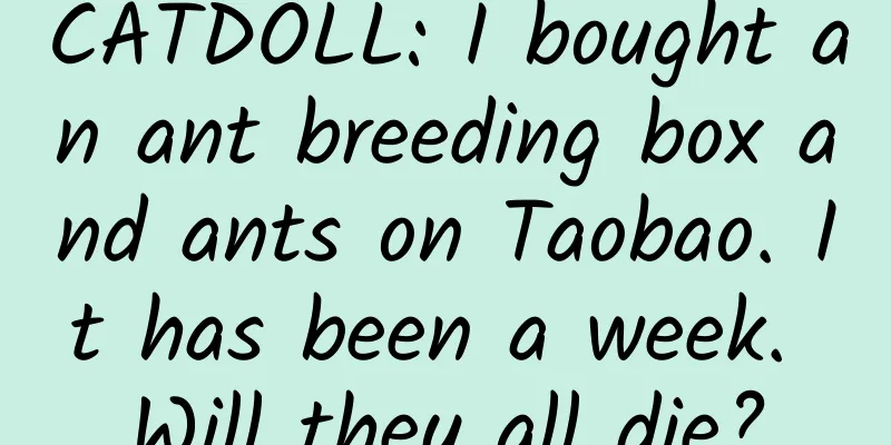 CATDOLL: I bought an ant breeding box and ants on Taobao. It has been a week. Will they all die?