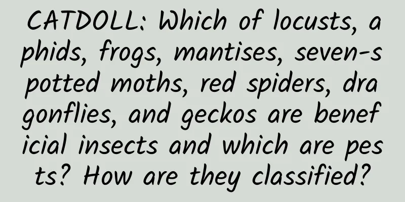 CATDOLL: Which of locusts, aphids, frogs, mantises, seven-spotted moths, red spiders, dragonflies, and geckos are beneficial insects and which are pests? How are they classified?