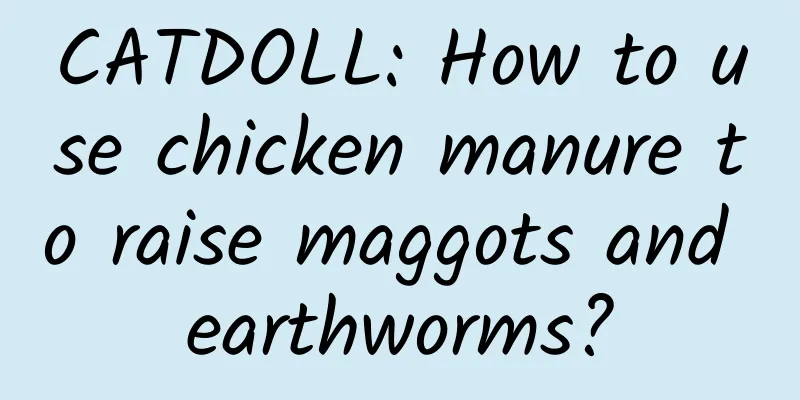 CATDOLL: How to use chicken manure to raise maggots and earthworms?