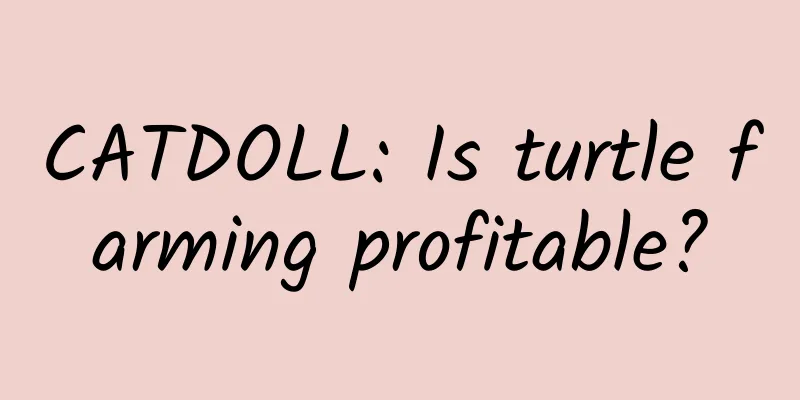 CATDOLL: Is turtle farming profitable?
