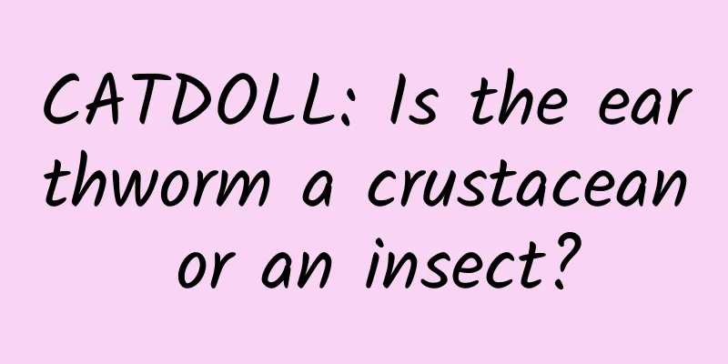 CATDOLL: Is the earthworm a crustacean or an insect?