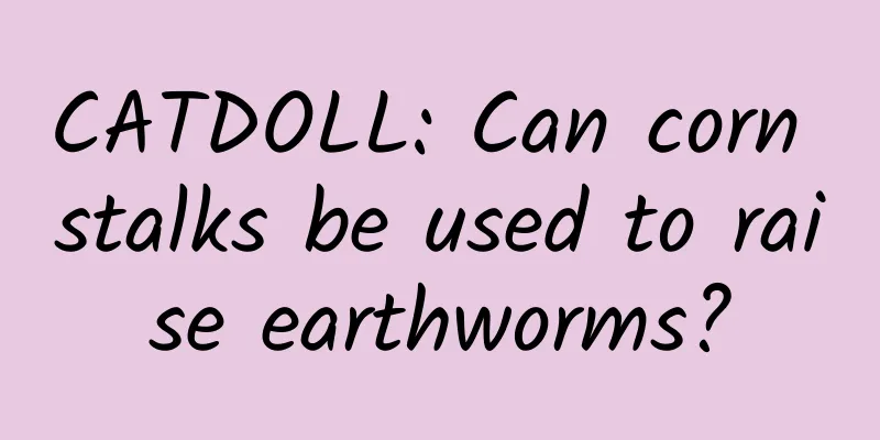 CATDOLL: Can corn stalks be used to raise earthworms?