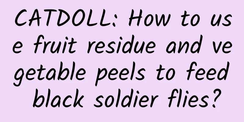 CATDOLL: How to use fruit residue and vegetable peels to feed black soldier flies?