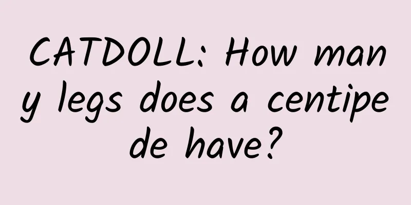 CATDOLL: How many legs does a centipede have?