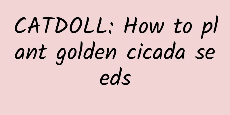 CATDOLL: How to plant golden cicada seeds