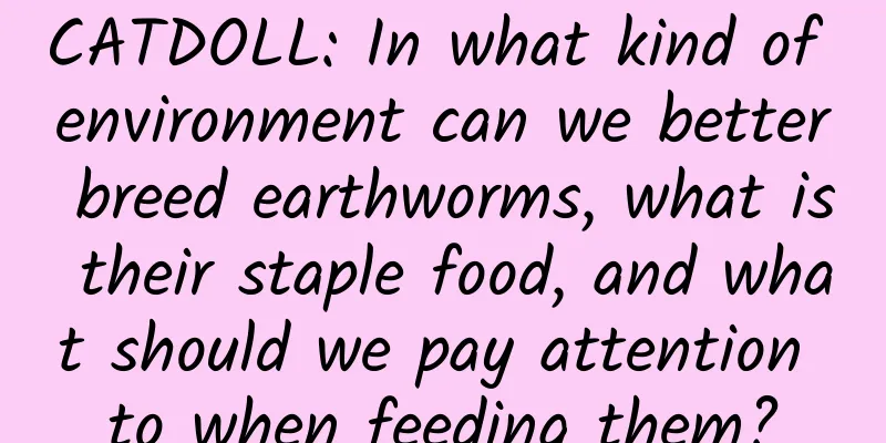 CATDOLL: In what kind of environment can we better breed earthworms, what is their staple food, and what should we pay attention to when feeding them?