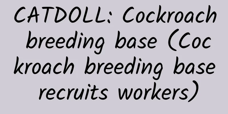 CATDOLL: Cockroach breeding base (Cockroach breeding base recruits workers)