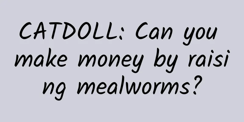 CATDOLL: Can you make money by raising mealworms?
