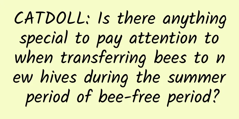 CATDOLL: Is there anything special to pay attention to when transferring bees to new hives during the summer period of bee-free period?