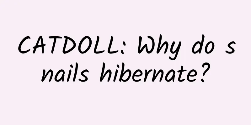 CATDOLL: Why do snails hibernate?