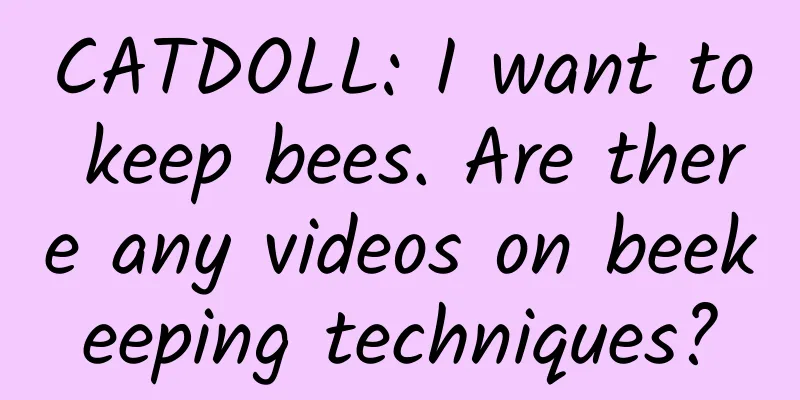 CATDOLL: I want to keep bees. Are there any videos on beekeeping techniques?