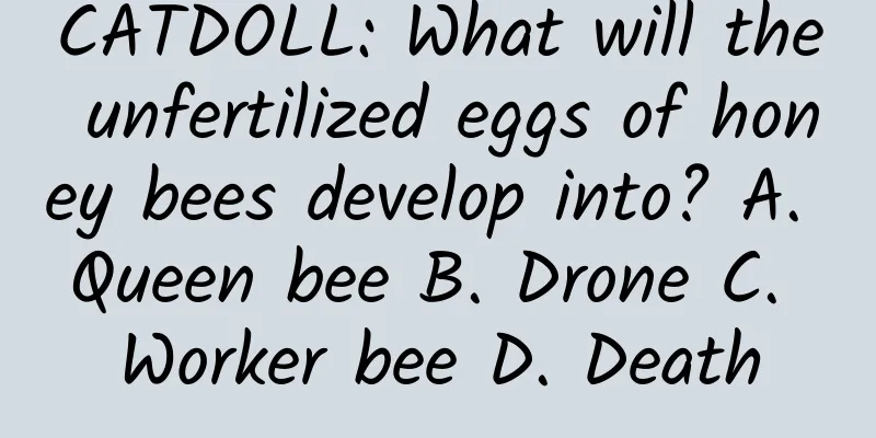 CATDOLL: What will the unfertilized eggs of honey bees develop into? A. Queen bee B. Drone C. Worker bee D. Death