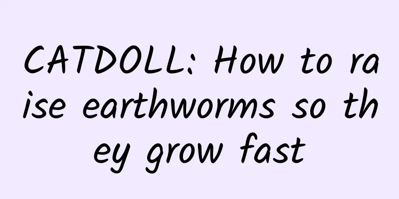 CATDOLL: How to raise earthworms so they grow fast