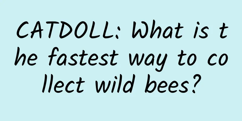 CATDOLL: What is the fastest way to collect wild bees?