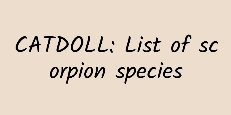 CATDOLL: List of scorpion species